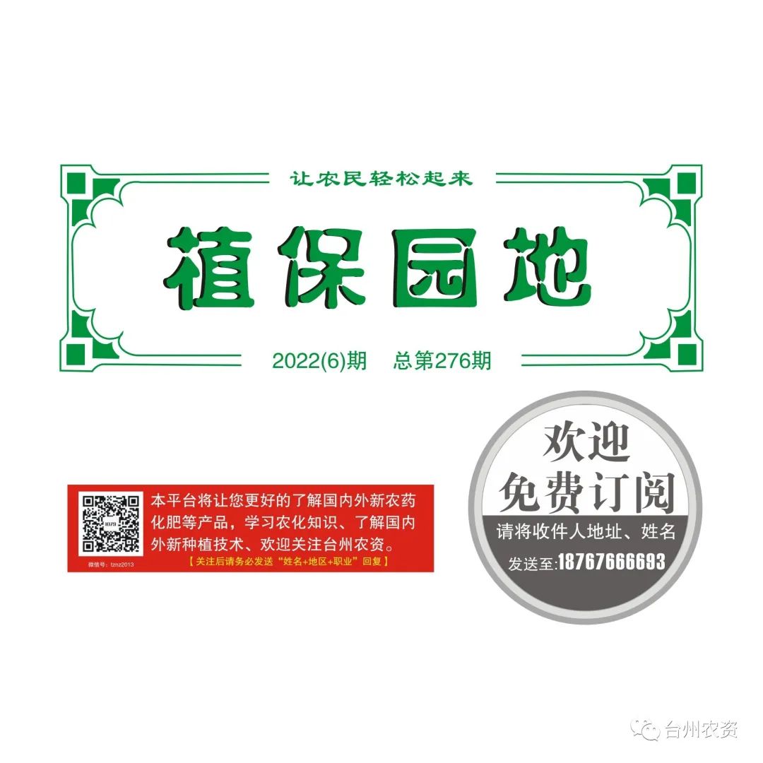 梅雨季節(jié)來臨，柑橘即將穩(wěn)果，注意管理好夏梢，合理施肥打藥